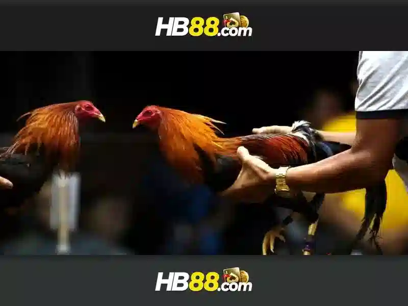 HB88 và Slot