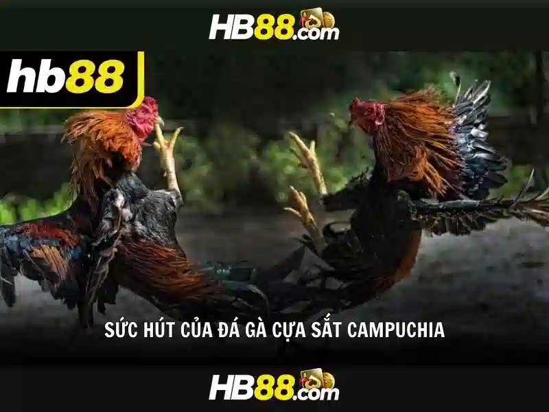 bảo mật đăng nhập