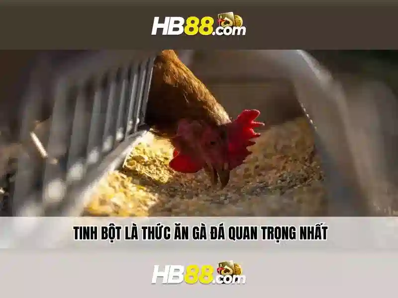 Chơi Slot HB88