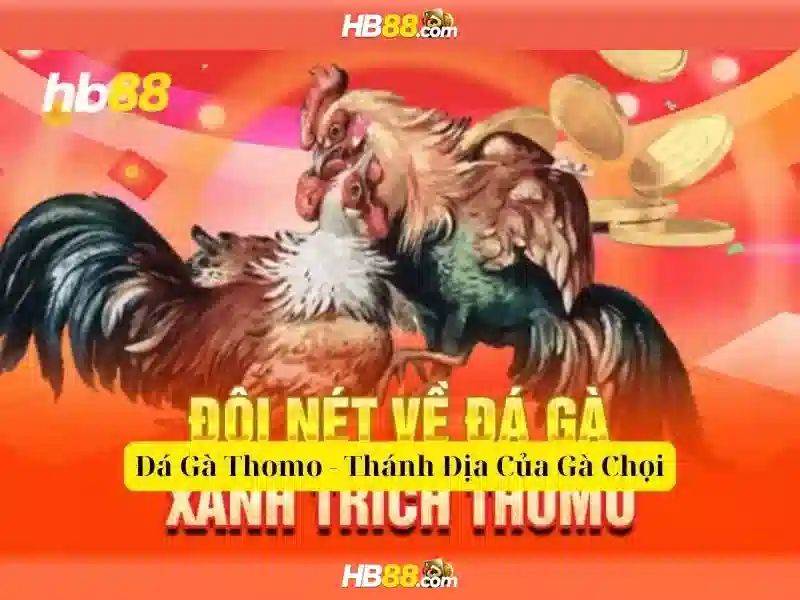 hướng dẫn tham gia slot