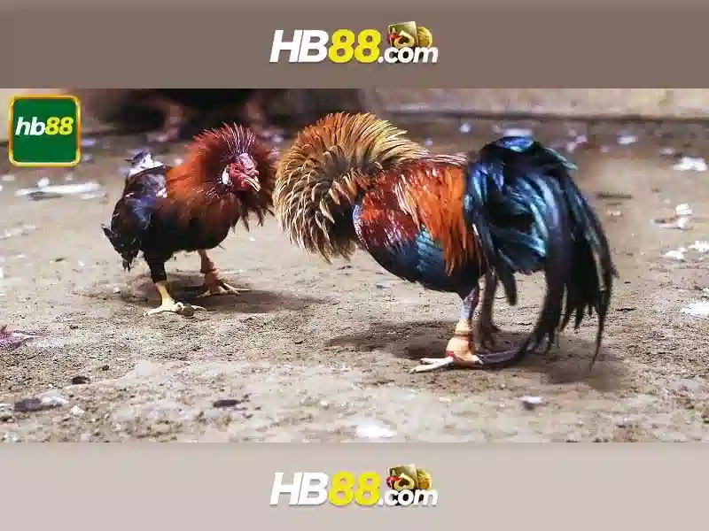 HB88 – Link Tại HB88 Chính Thức Không Bị Chặn 2026
