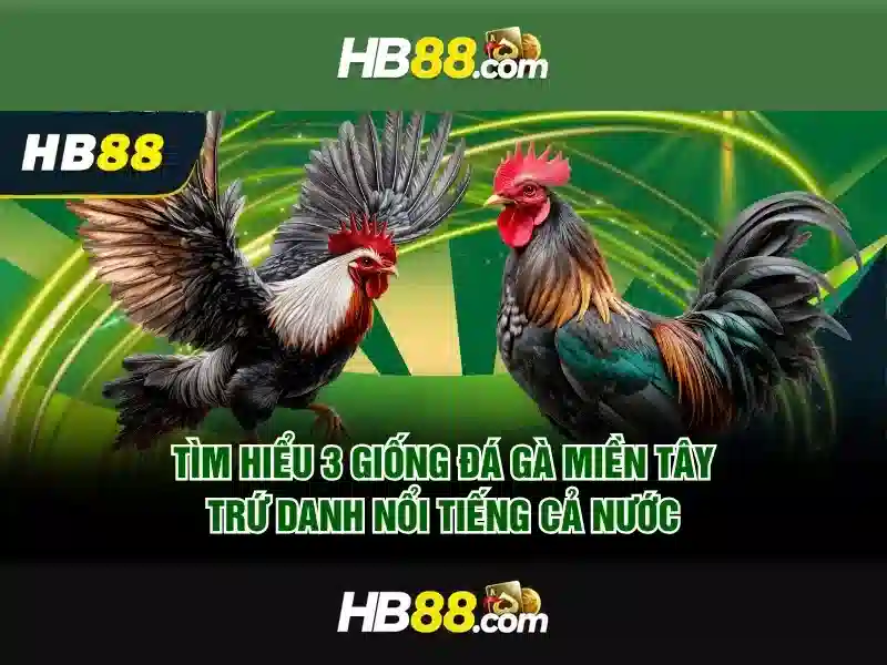 Trải nghiệm chơi Slot