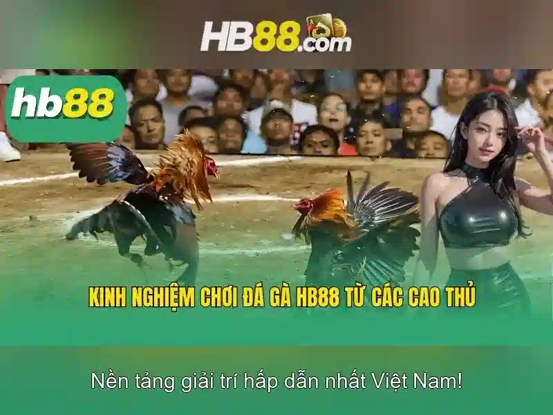 Quy Trình Đăng Ký