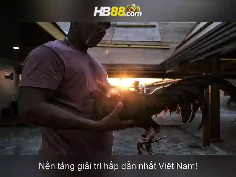 HB88 – Điều Khoản Và Điều Kiện Truy Cập Trang Chủ Slot