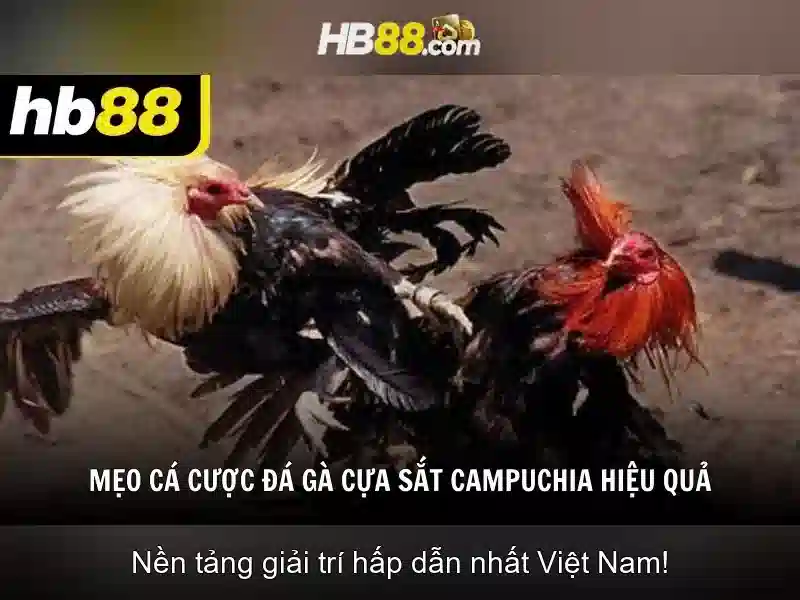 đăng nhập hb88