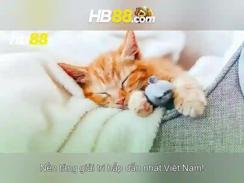 Trải nghiệm Slot đỉnh cao