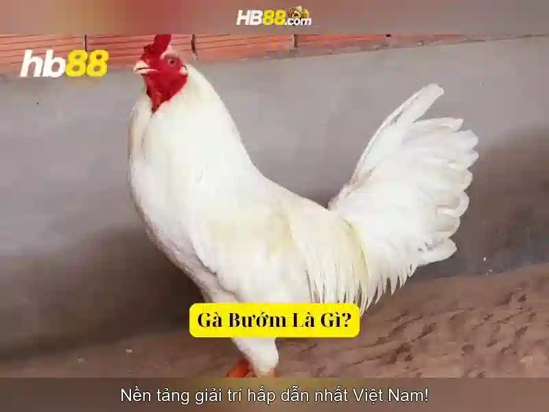 Tính Năng Nổi Bật