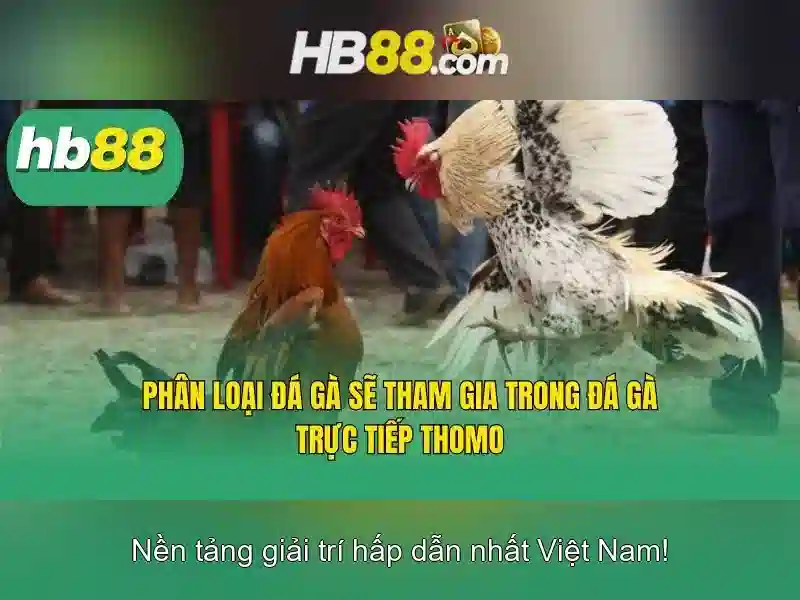 HB88 – Trải Nghiệm Slot Đỉnh Cao Với Link Vào Trang Chủ Không Bị Chặn 2026