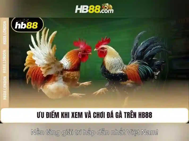 Đặc Điểm Nổi Bật