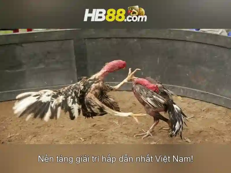 Hướng Dẫn Đăng Nhập hb88 Login