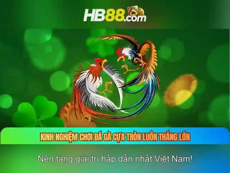 Trải nghiệm Slot đỉnh cao trên thiết bị di động
