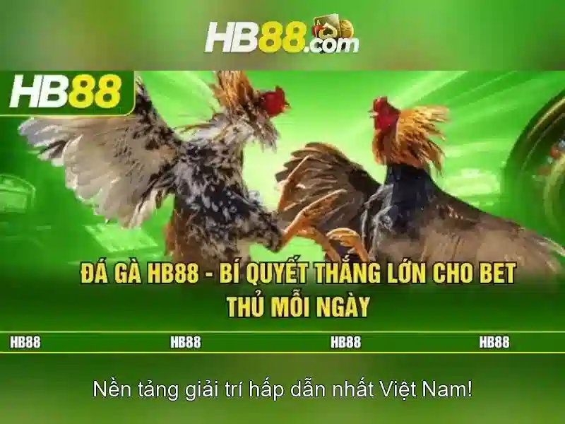 Ưu Đãi Đặc Biệt Cho Thành Viên
