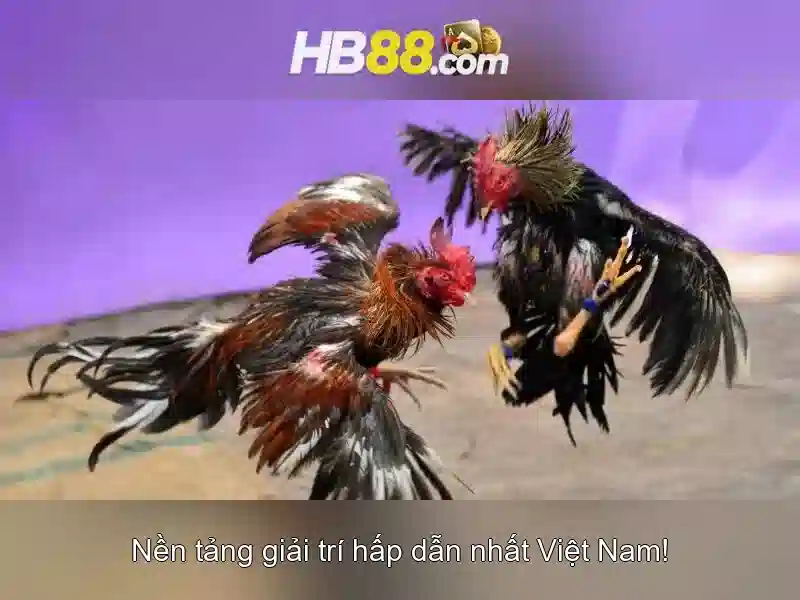 các loại slot