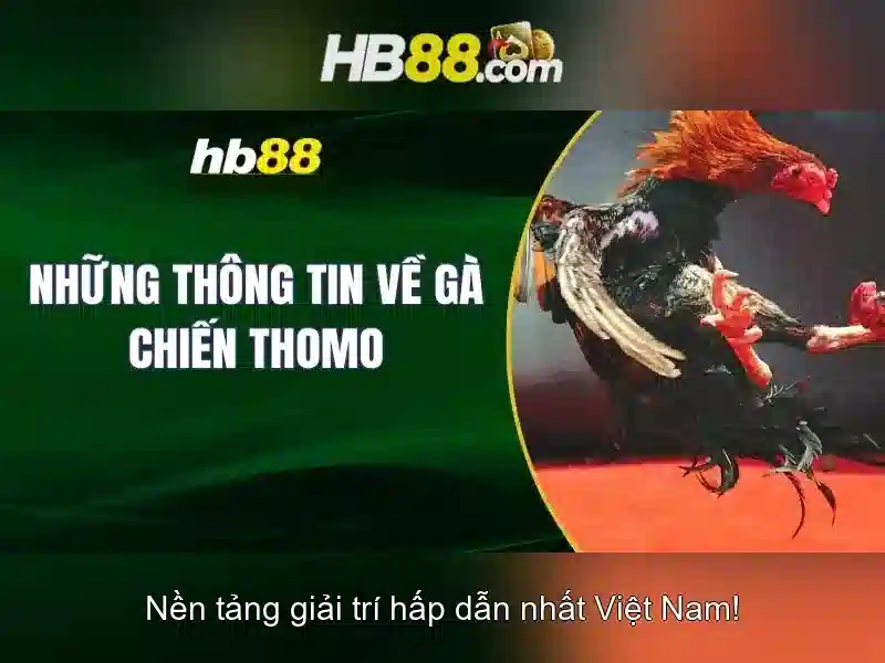 Tỷ lệ cược HB88